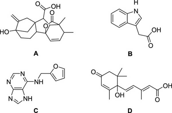 植物生長促進(jìn)劑的結(jié)構(gòu)